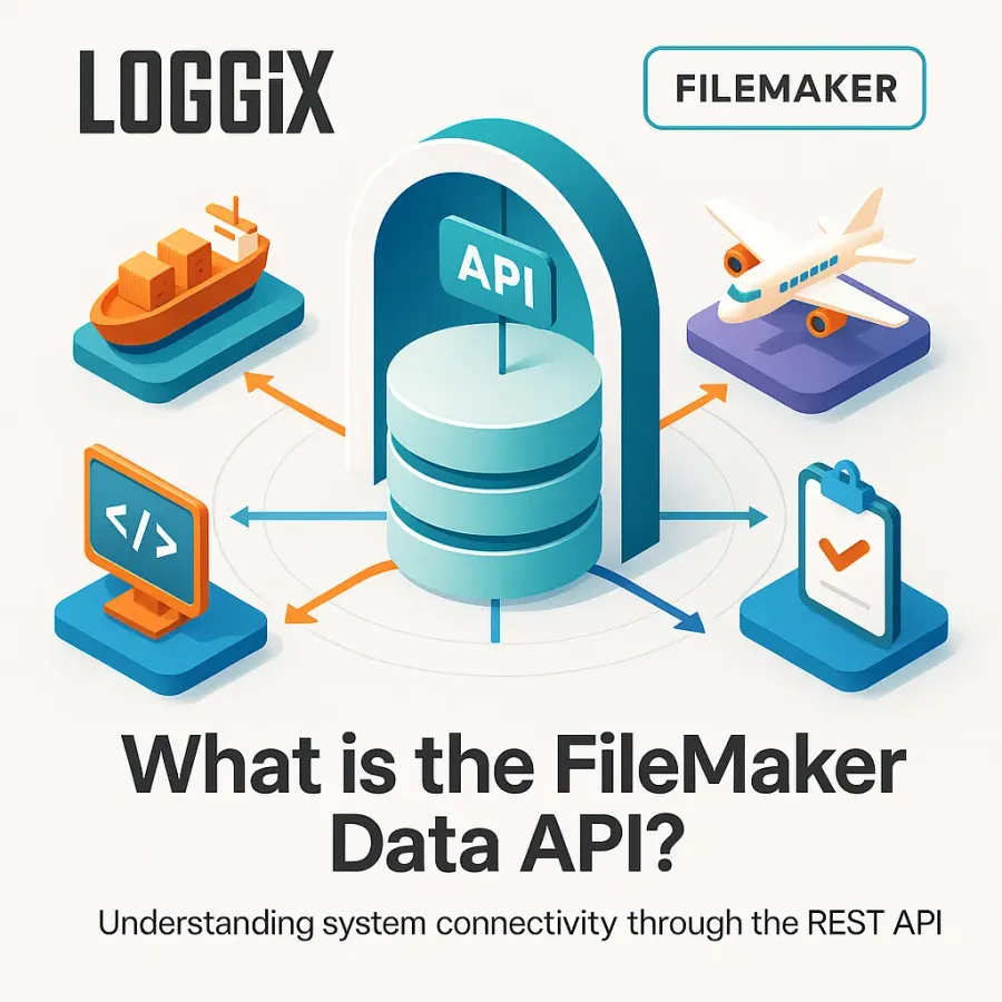 What is the FileMaker Data API?