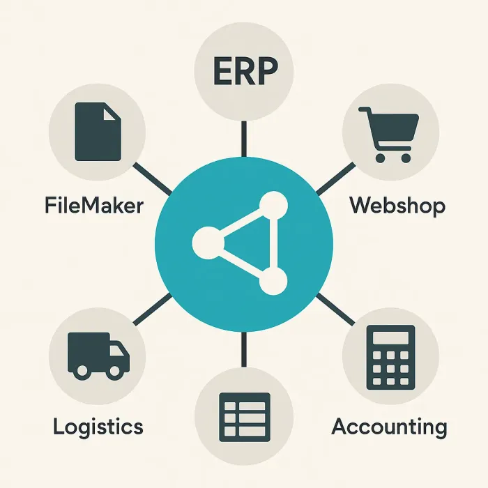 API mesh connecting FileMaker ERP webshop logistics accounting in a hub diagram